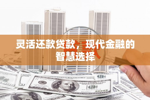 武侯灵活还款贷款，现代金融的智慧选择