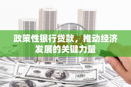 武侯政策性银行贷款，推动经济发展的关键力量