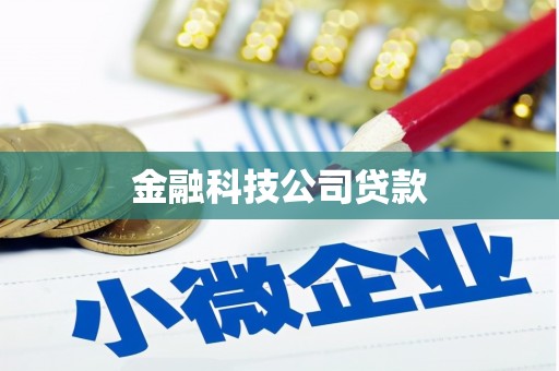 武侯金融科技公司贷款