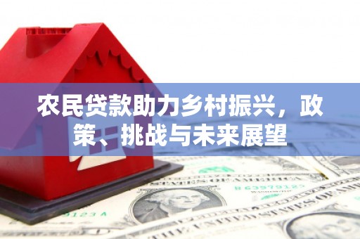 武侯农民贷款助力乡村振兴，政策、挑战与未来展望