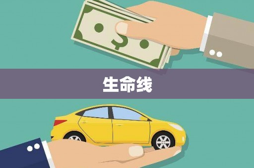 武侯生命线