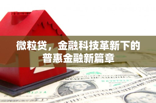 武侯微粒贷，金融科技革新下的普惠金融新篇章