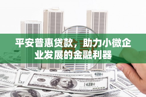 武侯平安普惠贷款，助力小微企业发展的金融利器
