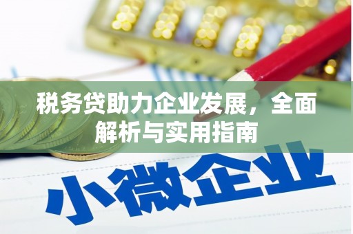 武侯税务贷助力企业发展，全面解析与实用指南