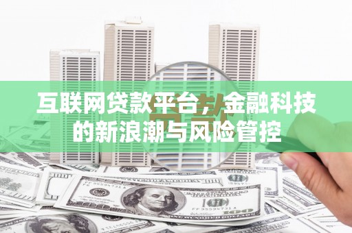 武侯互联网贷款平台，金融科技的新浪潮与风险管控