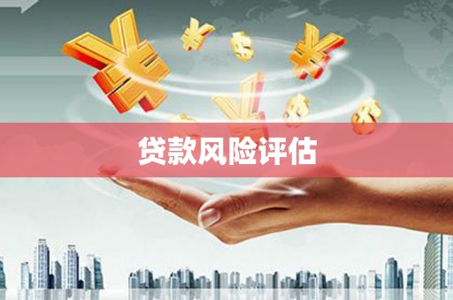 武侯贷款风险评估