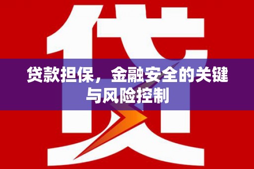 武侯贷款担保，金融安全的关键与风险控制
