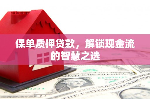 武侯保单质押贷款，解锁现金流的智慧之选