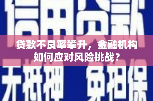 武侯贷款不良率攀升，金融机构如何应对风险挑战？