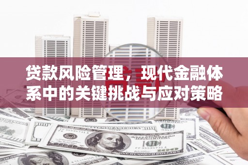 武侯贷款风险管理，现代金融体系中的关键挑战与应对策略