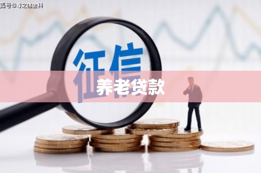 武侯养老贷款