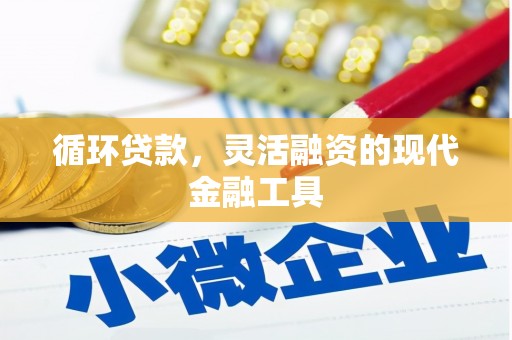 武侯循环贷款，灵活融资的现代金融工具