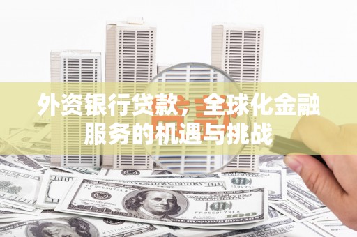 武侯外资银行贷款，全球化金融服务的机遇与挑战