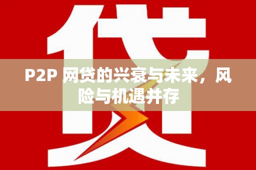 武侯P2P 网贷的兴衰与未来，风险与机遇并存