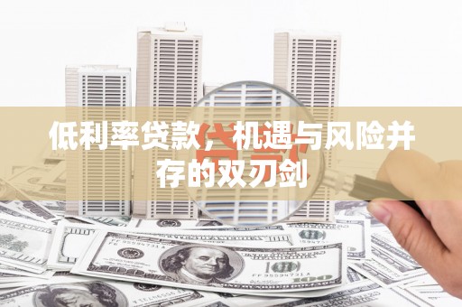 武侯低利率贷款，机遇与风险并存的双刃剑