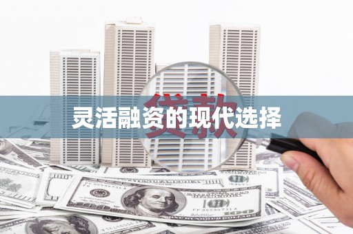 武侯灵活融资的现代选择