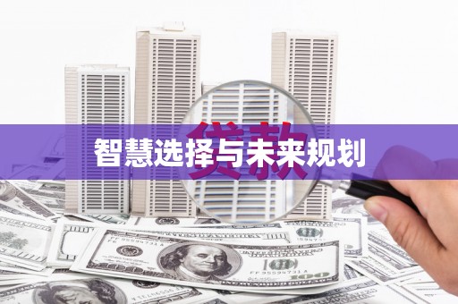 武侯智慧选择与未来规划