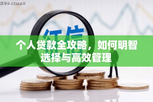 武侯个人贷款全攻略，如何明智选择与高效管理