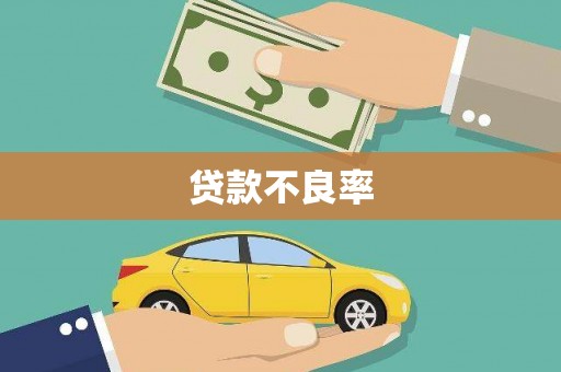 武侯贷款不良率