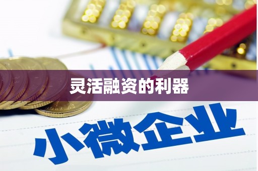武侯灵活融资的利器