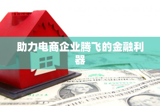 武侯助力电商企业腾飞的金融利器