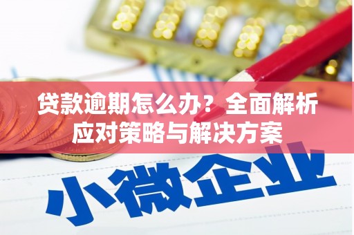 武侯贷款逾期怎么办？全面解析应对策略与解决方案
