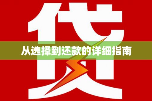 武侯从选择到还款的详细指南