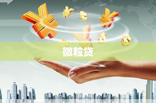 武侯微粒贷