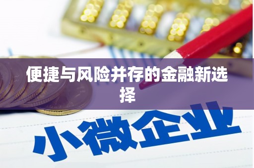 武侯便捷与风险并存的金融新选择