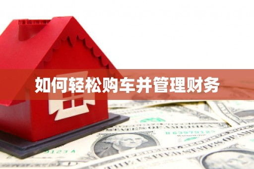 武侯如何轻松购车并管理财务