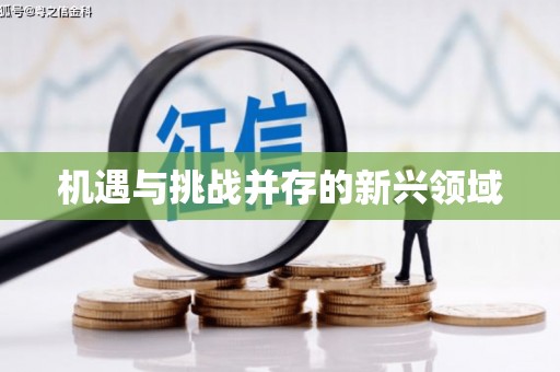 武侯机遇与挑战并存的新兴领域