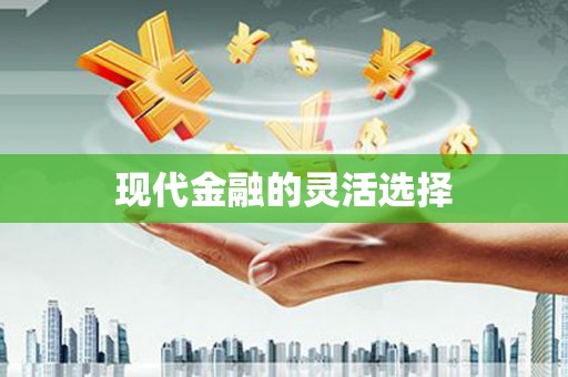 武侯现代金融的灵活选择