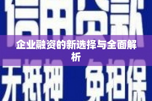 武侯企业融资的新选择与全面解析