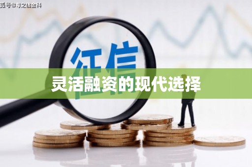 武侯灵活融资的现代选择