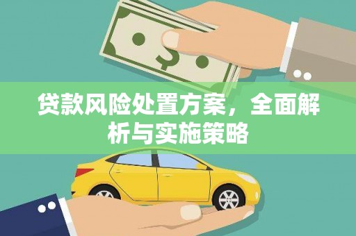 武侯贷款风险处置方案，全面解析与实施策略