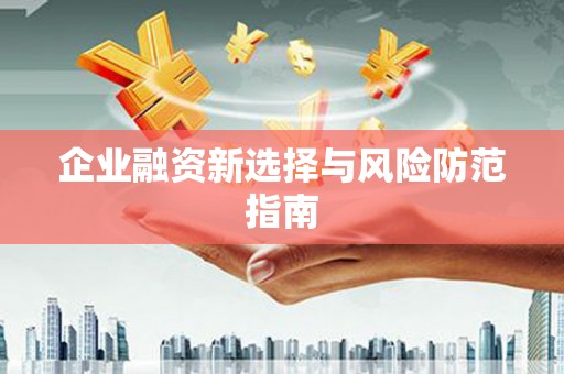 武侯企业融资新选择与风险防范指南
