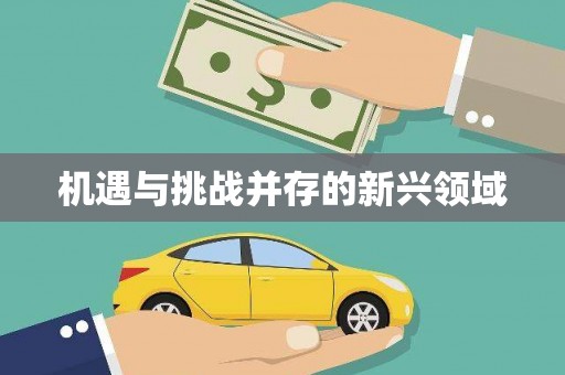 武侯机遇与挑战并存的新兴领域
