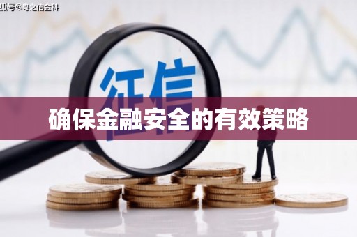 武侯确保金融安全的有效策略