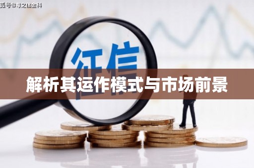 武侯解析其运作模式与市场前景