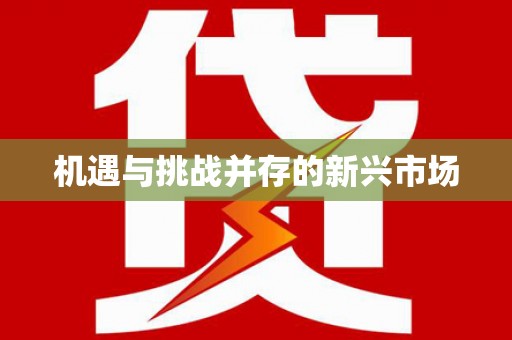 武侯机遇与挑战并存的新兴市场