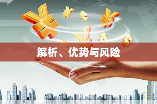武侯解析、优势与风险