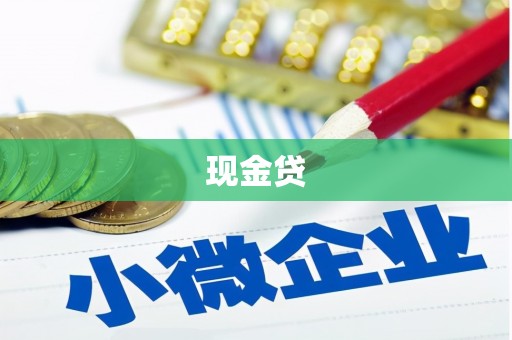 武侯现金贷