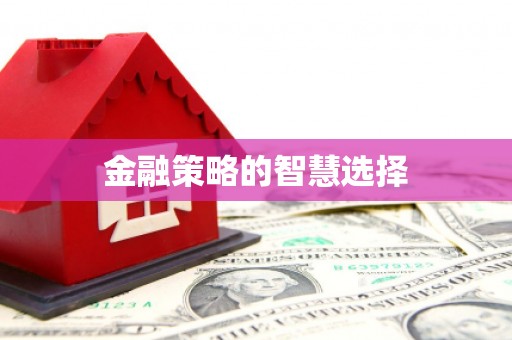 武侯金融策略的智慧选择