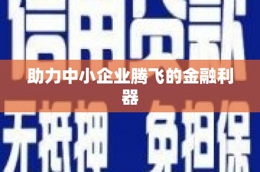 武侯助力中小企业腾飞的金融利器