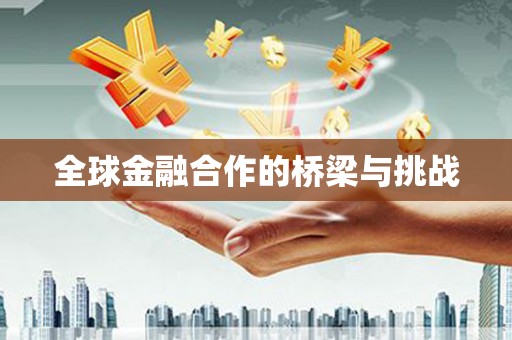 武侯全球金融合作的桥梁与挑战