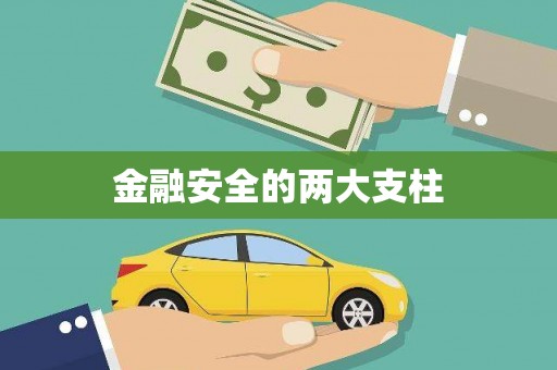 武侯金融安全的两大支柱