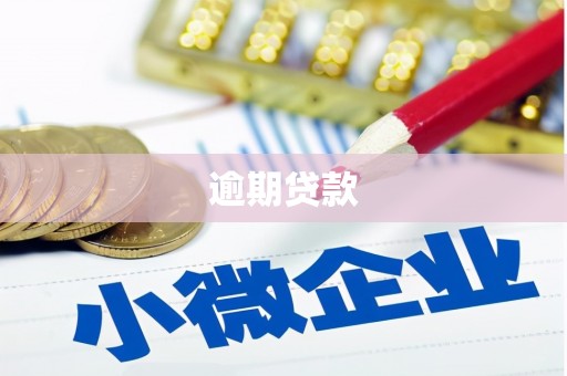 武侯逾期贷款