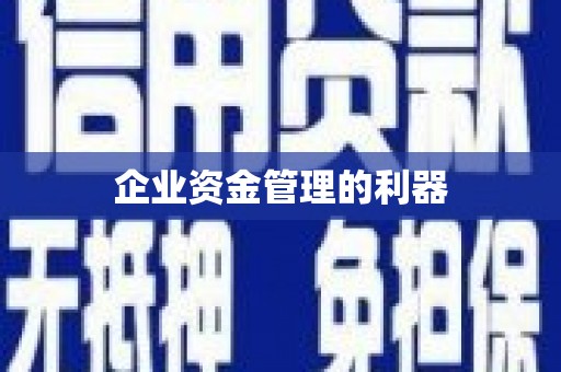 武侯企业资金管理的利器