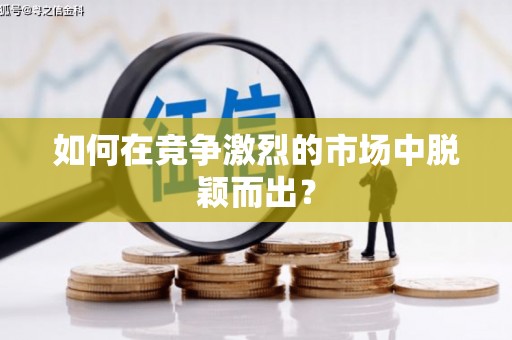 武侯如何在竞争激烈的市场中脱颖而出？