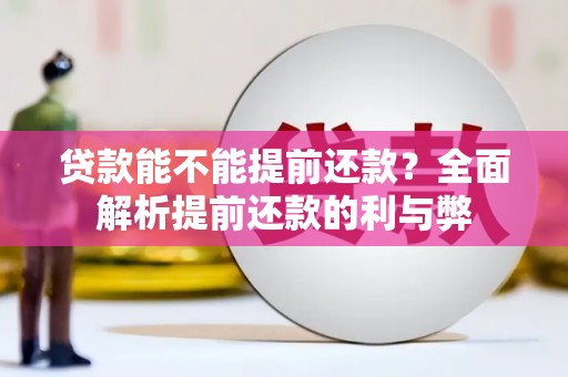 武侯贷款能不能提前还款？全面解析提前还款的利与弊